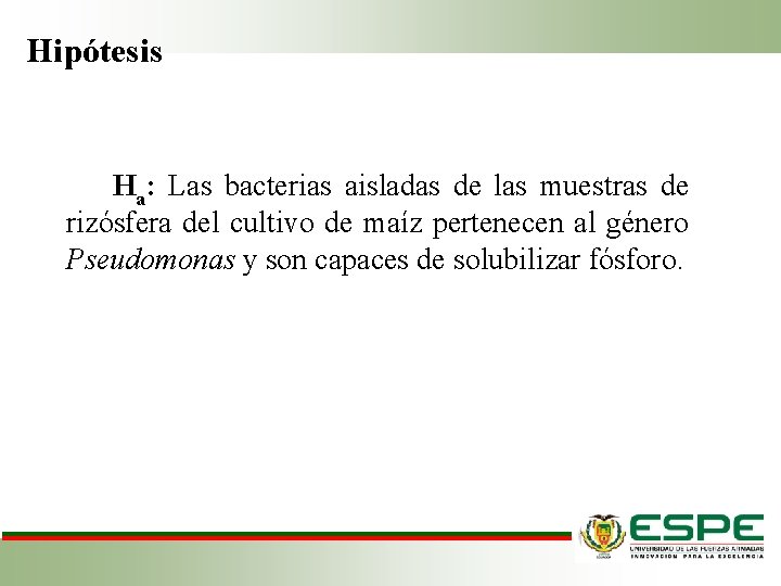 Hipótesis Ha: Las bacterias aisladas de las muestras de rizósfera del cultivo de maíz