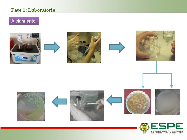 Fase 1: Laboratorio Aislamiento 