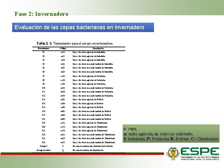 Fase 2: Invernadero Evaluación de las cepas bacterianas en invernadero Tabla 2. 1: Tratamientos