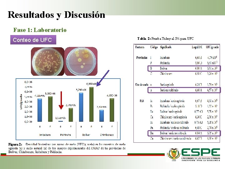 Resultados y Discusión Fase 1: Laboratorio Conteo de UFC Figura 2: Tabla 2: Prueba