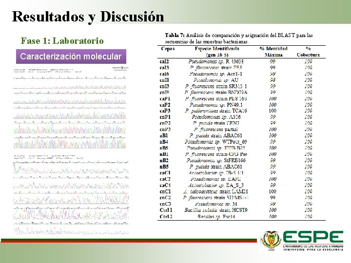 Resultados y Discusión Fase 1: Laboratorio Caracterización molecular Tabla 7: Análisis de comparación y