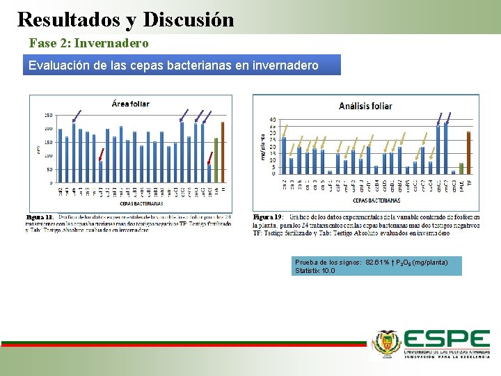 Resultados y Discusión Fase 2: Invernadero Evaluación de las cepas bacterianas en invernadero Figura