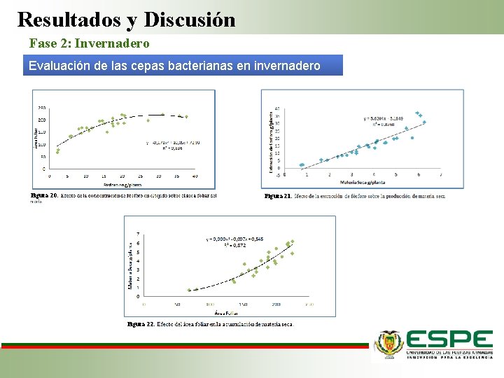 Resultados y Discusión Fase 2: Invernadero Evaluación de las cepas bacterianas en invernadero Figura