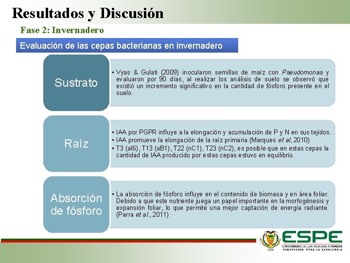 Resultados y Discusión Fase 2: Invernadero Evaluación de las cepas bacterianas en invernadero Sustrato