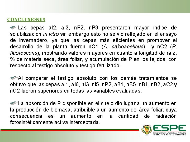 CONCLUSIONES Las cepas a. I 2, a. I 3, n. P 2, n. P