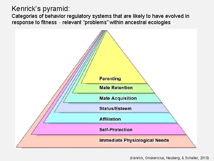 Kenrick’s pyramid: Categories of behavior regulatory systems that are likely to have evolved in