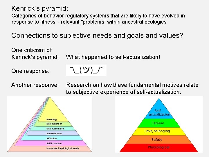 Kenrick’s pyramid: Categories of behavior regulatory systems that are likely to have evolved in