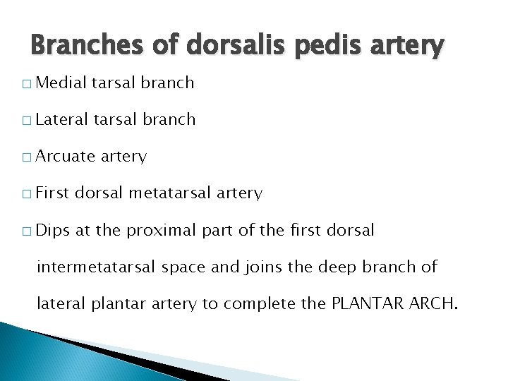 Branches of dorsalis pedis artery � Medial tarsal branch � Lateral tarsal branch �