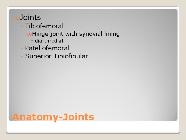  Joints ◦ Tibiofemoral Hinge joint with synovial lining ◦ diarthrodial ◦ Patellofemoral ◦