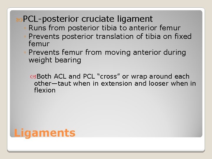  PCL-posterior cruciate ligament ◦ Runs from posterior tibia to anterior femur ◦ Prevents