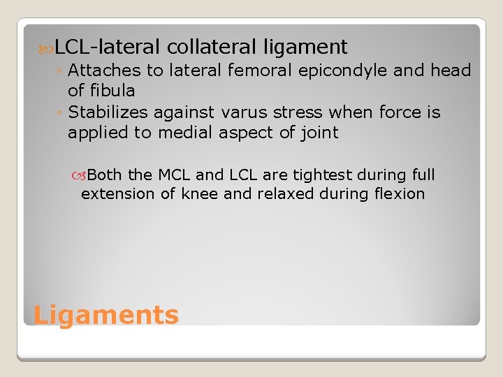  LCL-lateral collateral ligament ◦ Attaches to lateral femoral epicondyle and head of fibula