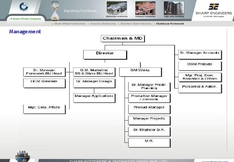 Management Organization Chart 