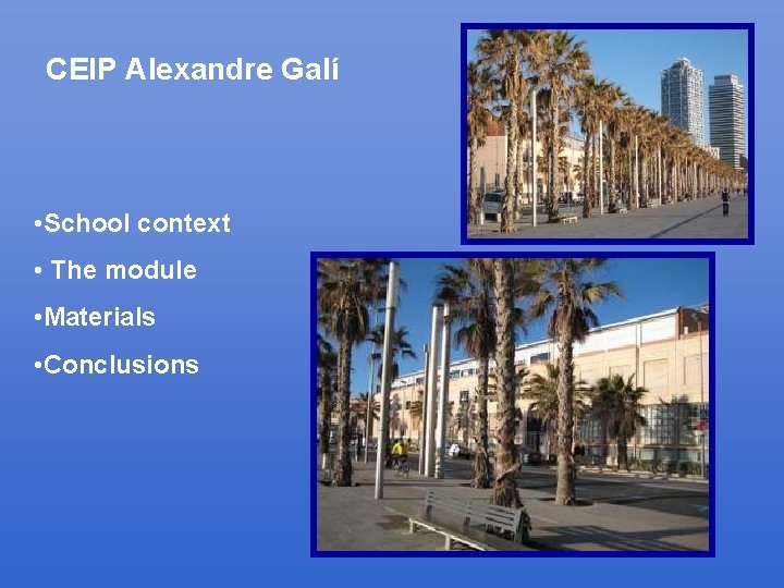 CEIP Alexandre Galí • School context • The module • Materials • Conclusions 