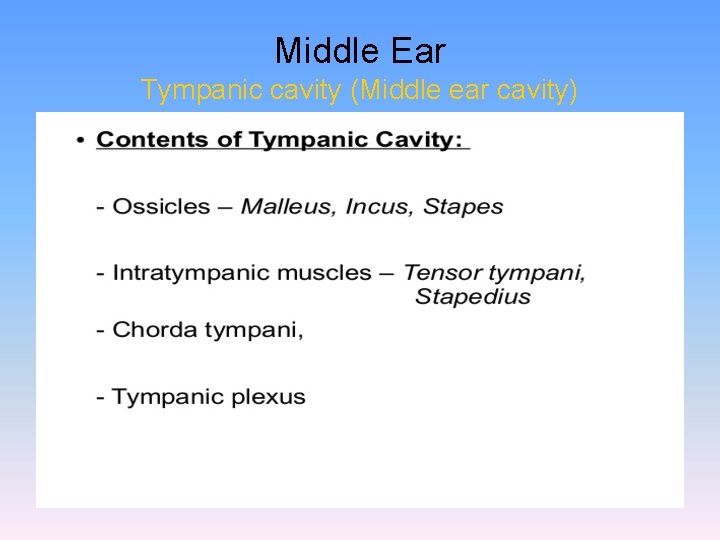 Middle Ear Tympanic cavity (Middle ear cavity) 