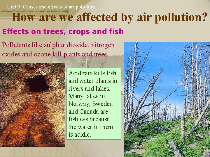 Unit 9 Causes and effects of air pollution How are we affected by air Unit 9 Causes and effects of air pollution How are we affected by air