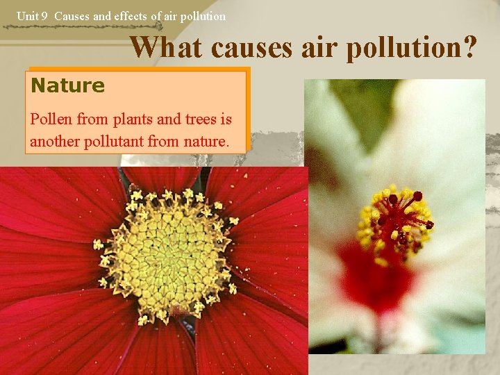 Unit 9 Causes and effects of air pollution What causes air pollution? Nature Pollen