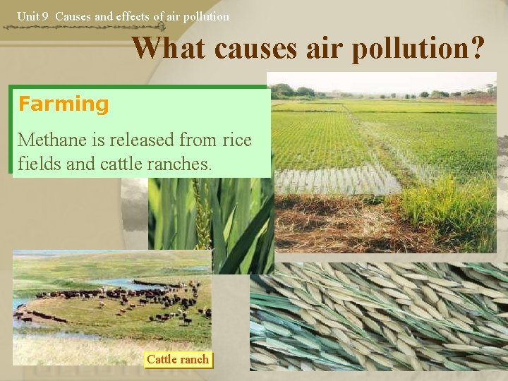 Unit 9 Causes and effects of air pollution What causes air pollution? Farming Methane