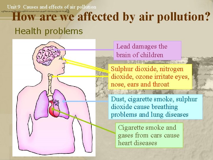 Unit 9 Causes and effects of air pollution How are we affected by air