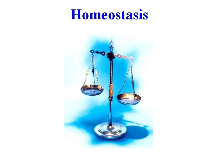 Homeostasis 