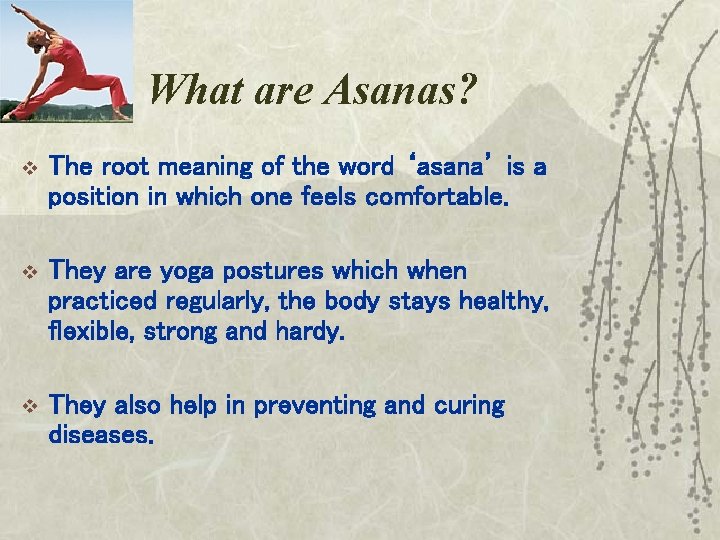 What are Asanas? v The root meaning of the word ‘asana’ is a position