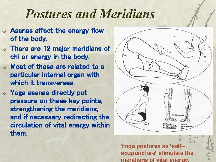 Postures and Meridians v v Asanas affect the energy flow of the body. There