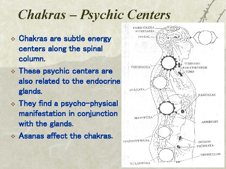 Chakras – Psychic Centers v v Chakras are subtle energy centers along the spinal