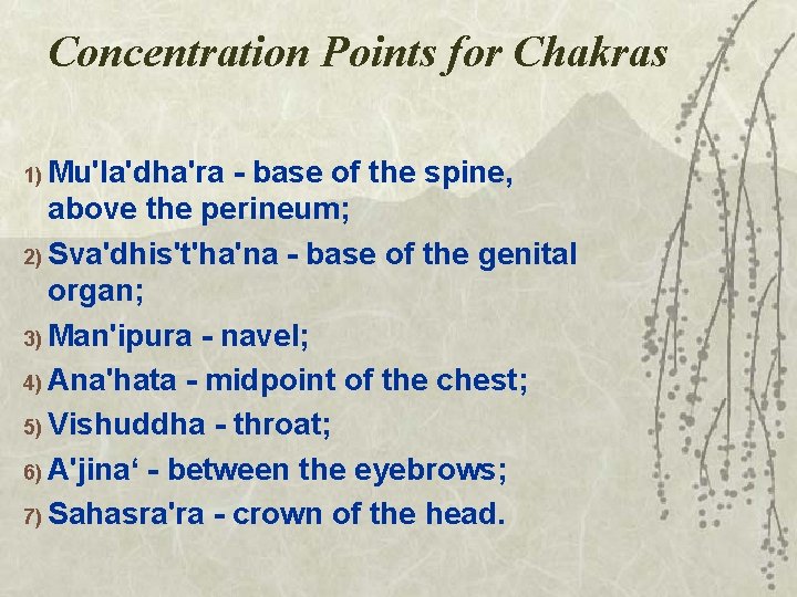 Concentration Points for Chakras 1) Mu'la'dha'ra - base of the spine, above the perineum;