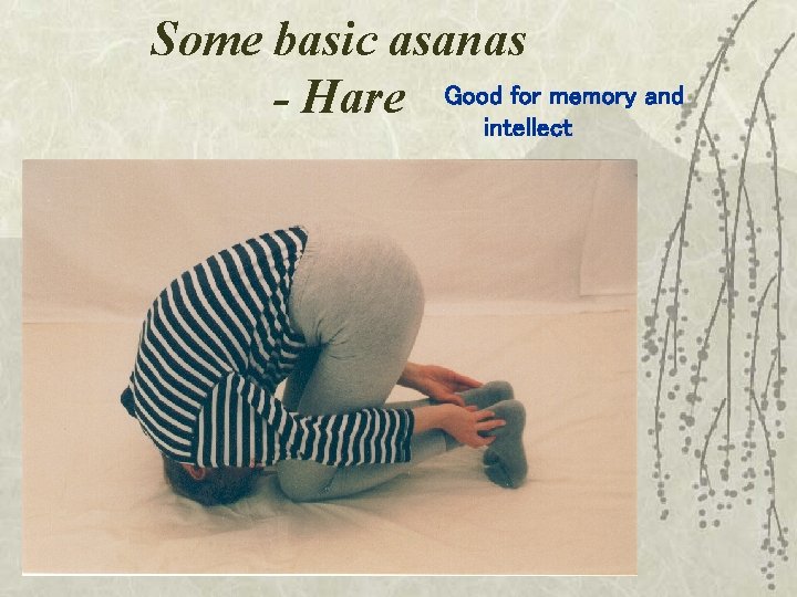 Some basic asanas for memory and - Hare Goodintellect 