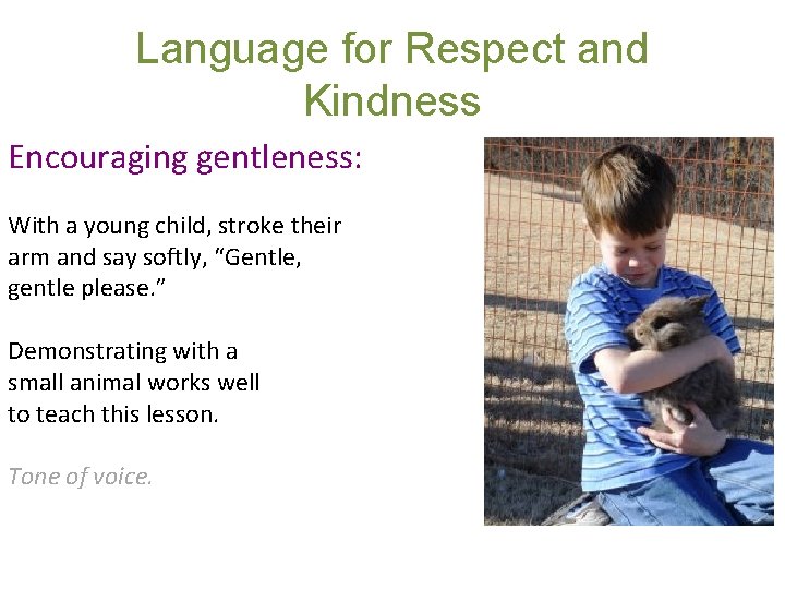 Language for Respect and Kindness Encouraging gentleness: With a young child, stroke their arm