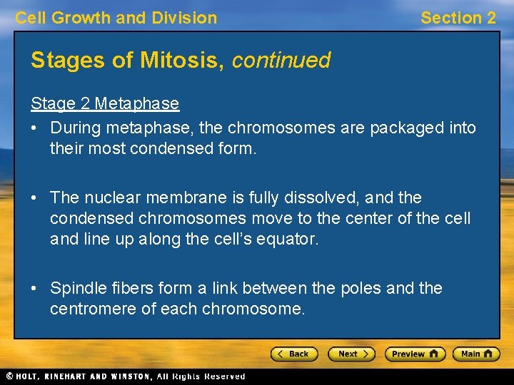Cell Growth and Division Section 2 Stages of Mitosis, continued Stage 2 Metaphase •