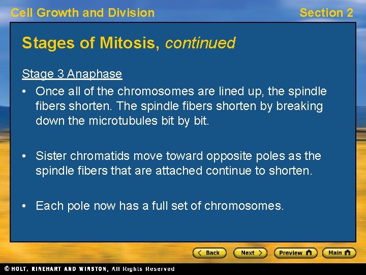 Cell Growth and Division Section 2 Stages of Mitosis, continued Stage 3 Anaphase •