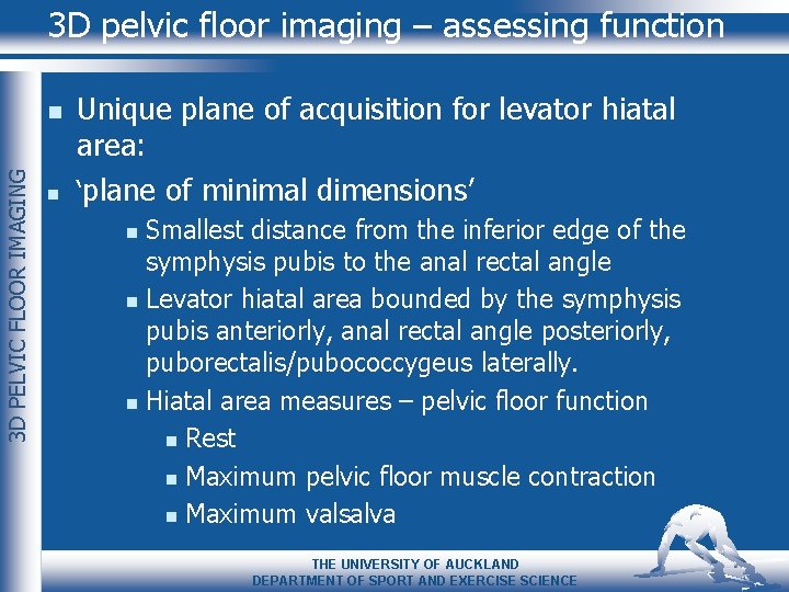 3 D pelvic floor imaging – assessing function 3 D PELVIC FLOOR IMAGING n