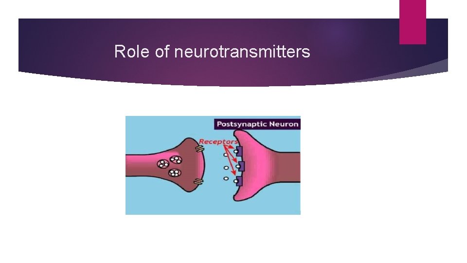 Role of neurotransmitters 