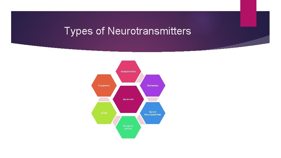 Types of Neurotransmitters Acetylcholine Dopamine Glutamate Serotonin Opioid Neuropeptides GABA Norepinephrine 