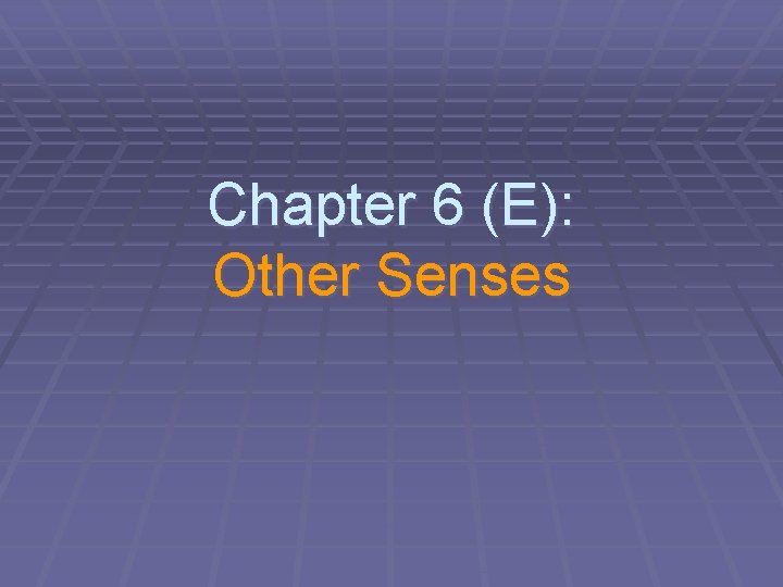 Chapter 6 (E): Other Senses 