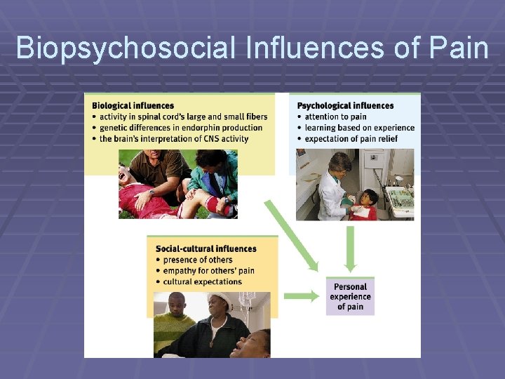 Biopsychosocial Influences of Pain 