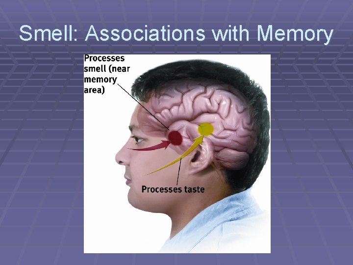 Smell: Associations with Memory 