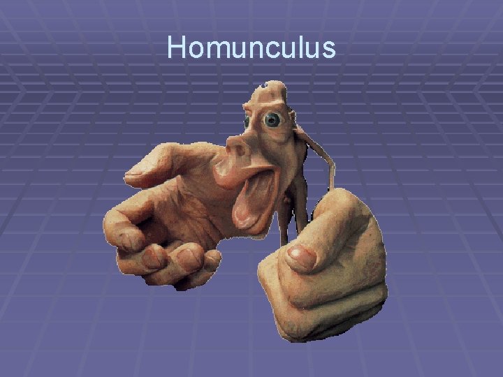 Homunculus 