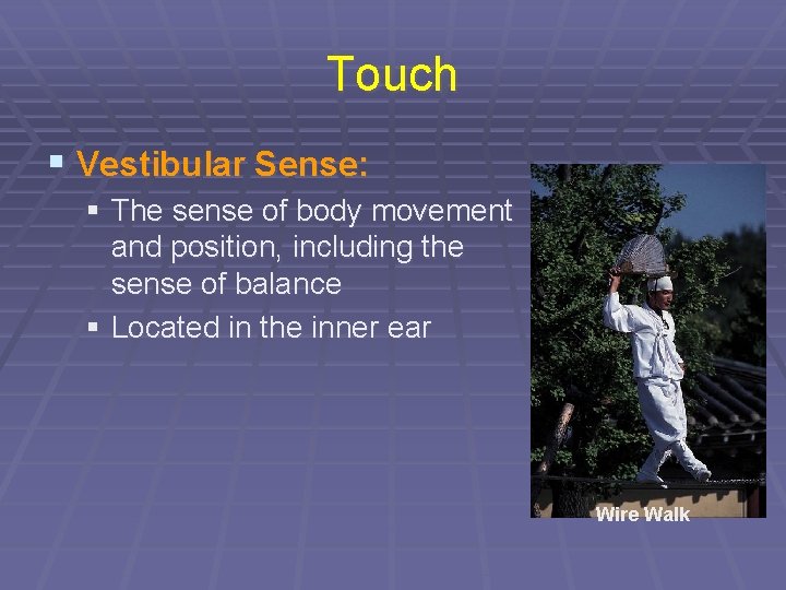 Touch § Vestibular Sense: § The sense of body movement and position, including the