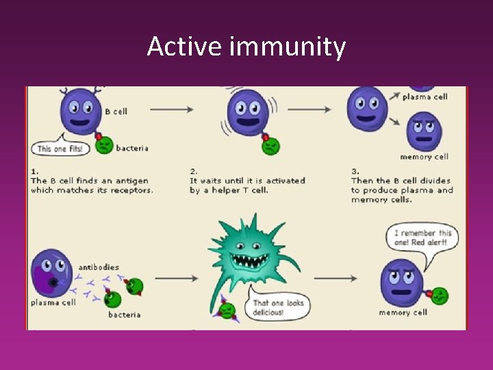 Active immunity Active immunity