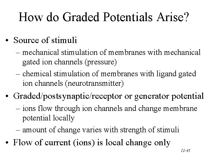 How do Graded Potentials Arise? • Source of stimuli – mechanical stimulation of membranes