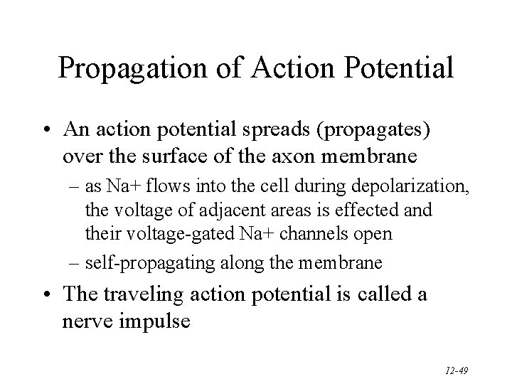 Propagation of Action Potential • An action potential spreads (propagates) over the surface of