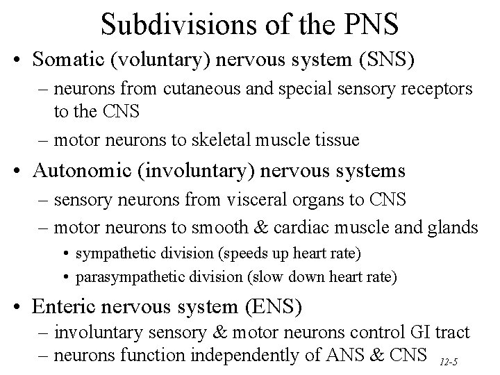 Subdivisions of the PNS • Somatic (voluntary) nervous system (SNS) – neurons from cutaneous