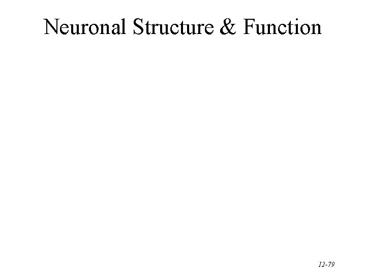 Neuronal Structure & Function 12 -79 
