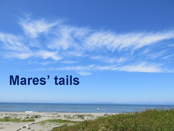Mares’ tails 