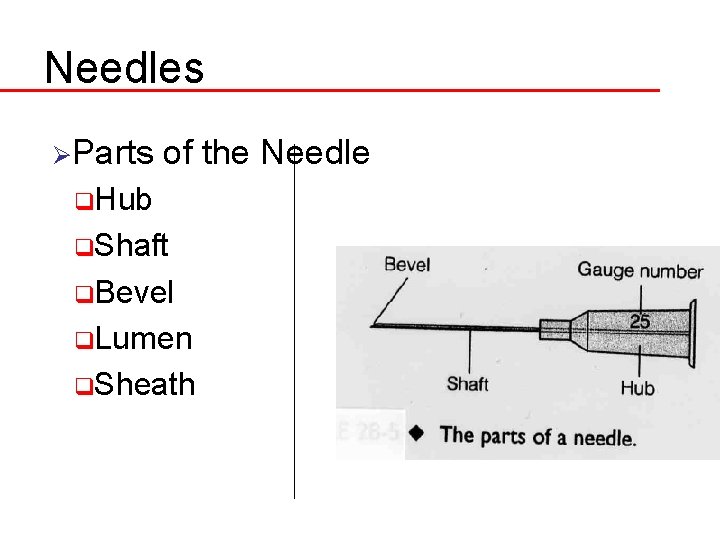 Needles ØParts of the Needle q. Hub q. Shaft q. Bevel q. Lumen q.