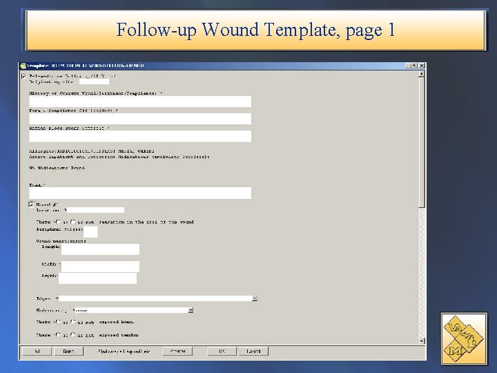 Follow-up Wound Template, page 1 
