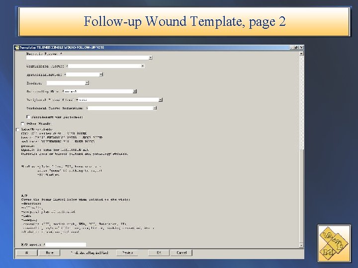 Follow-up Wound Template, page 2 