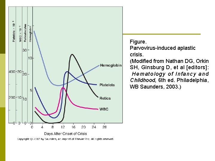 Figure. Parvovirus-induced aplastic crisis. (Modified from Nathan DG, Orkin SH, Ginsburg D, et al