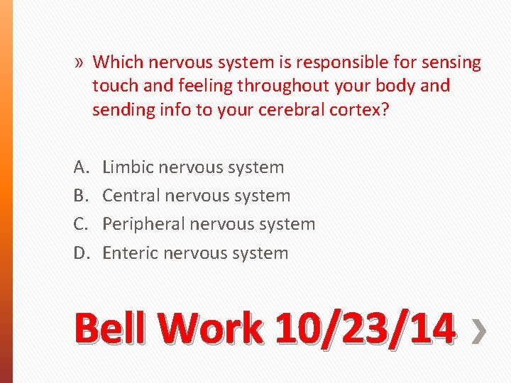 » Which nervous system is responsible for sensing touch and feeling throughout your body